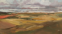 Campo - Carmen Campos-Guereta