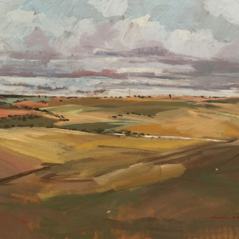 Campo - Carmen Campos-Guereta