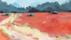 Carril de Carmen Campos-Guereta